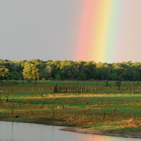 Island Safari Lodge Maun Exteriér fotografie