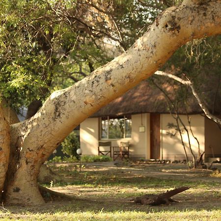 Island Safari Lodge Maun Exteriér fotografie