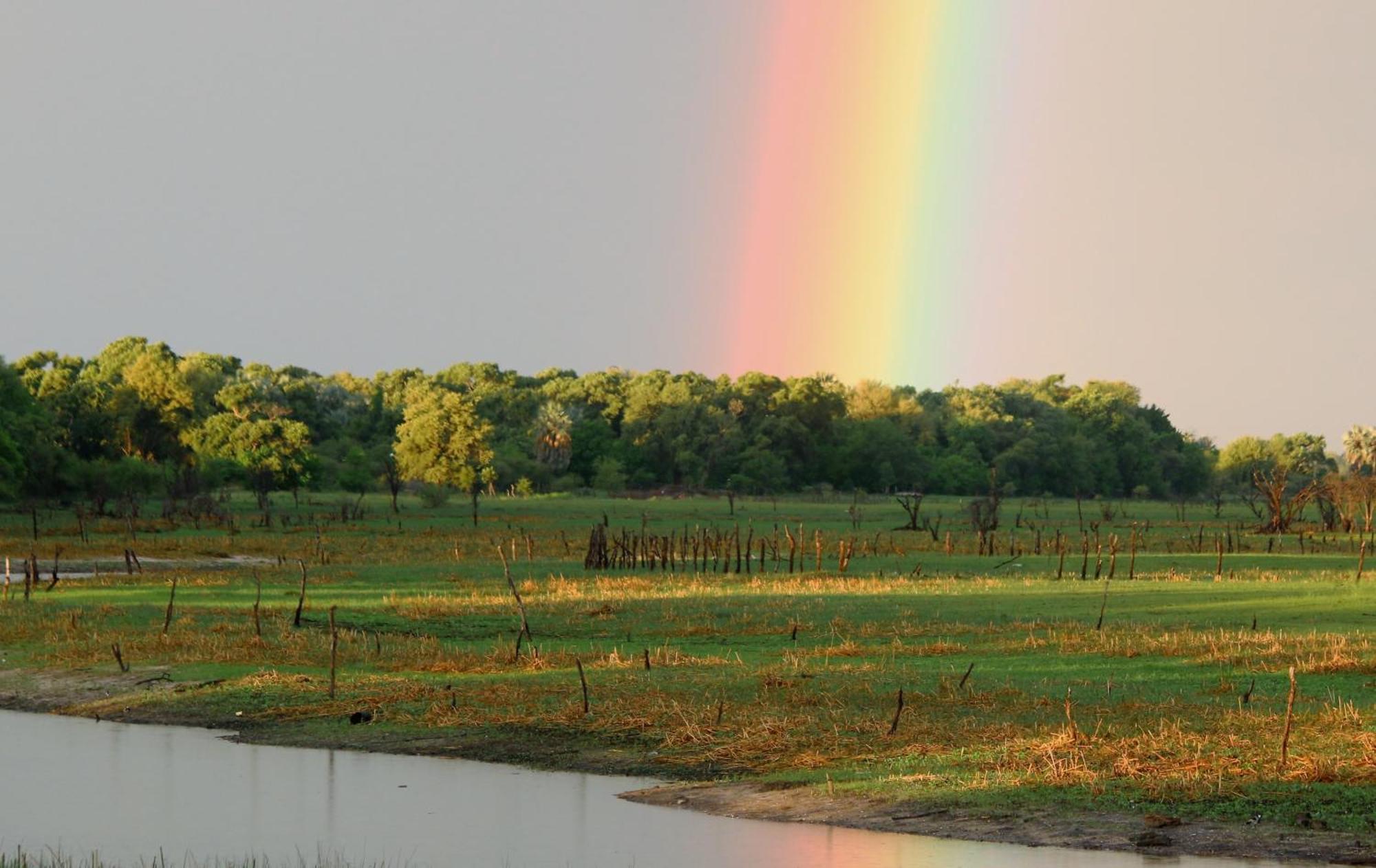 Island Safari Lodge Maun Exteriér fotografie