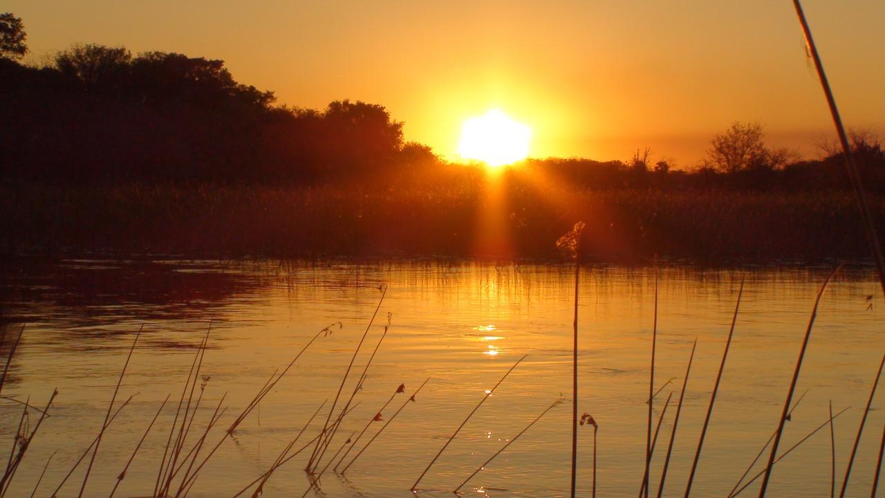 Island Safari Lodge Maun Exteriér fotografie