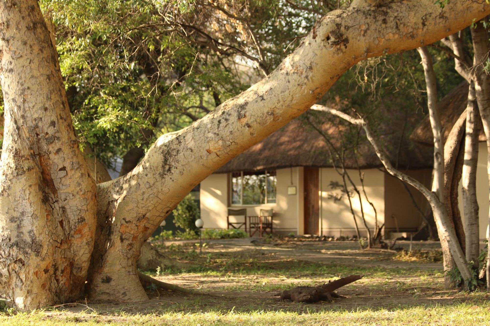 Island Safari Lodge Maun Exteriér fotografie